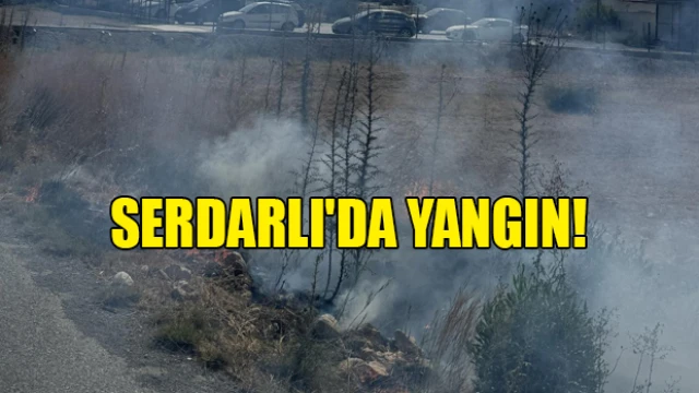 Serdarlı'da Yangın: İtfaiye Ekipleri Hızla Müdahale Etti