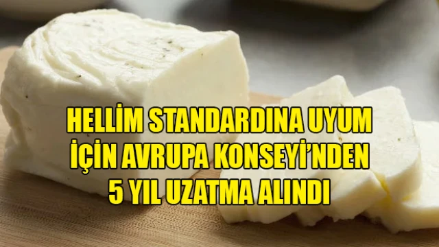 Hellim standardına uyum için Avrupa Konseyi’nden 5 yıl uzatma alındı