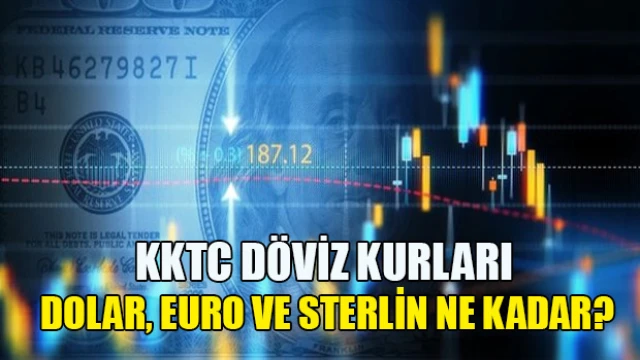 Güncel Döviz Kurları