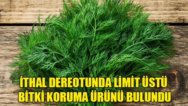 İthal dereotunda limit üstü bitki koruma ürünü bulundu