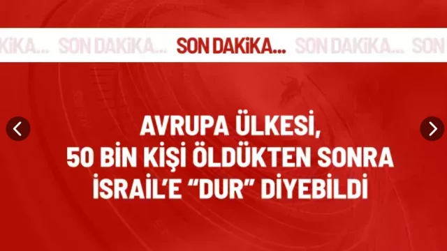 Silah sevkiyatının durdurulması çağrısı