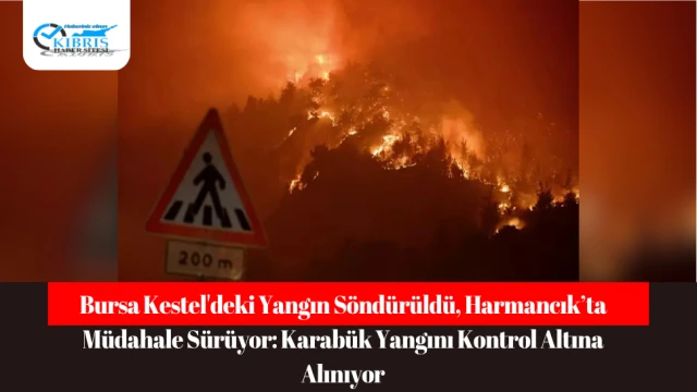Bursa Kestel'deki Yangın Söndürüldü, Harmancık’ta Müdahale Sürüyor: Karabük Yangını Kontrol Altına Alınıyor