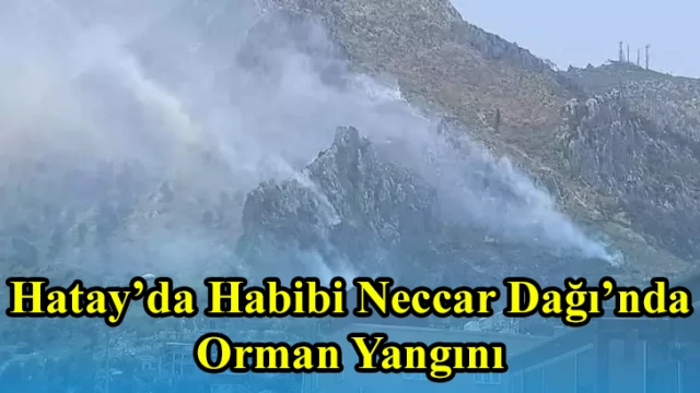 Hatay’da Habibi Neccar Dağı’nda Orman Yangını: Müdahale Sürüyor