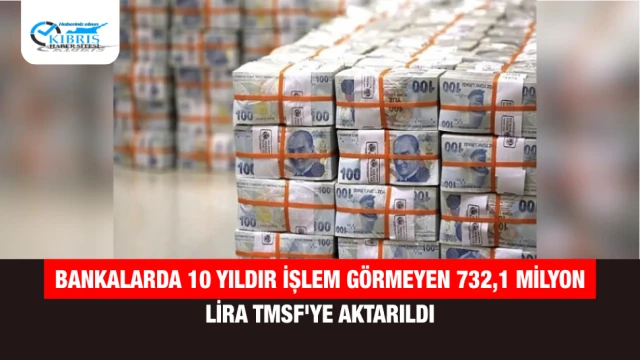 Bankalarda 10 Yıldır İşlem Görmeyen 732,1 Milyon Lira TMSF'ye Aktarıldı
