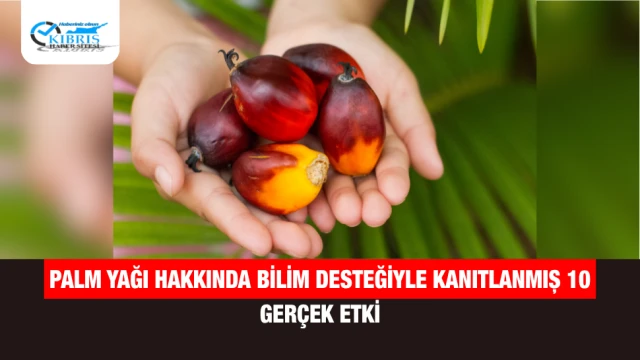 Palm Yağı Hakkında Bilim Desteğiyle Kanıtlanmış 10 Gerçek Etki