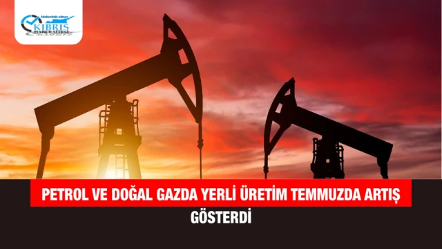Petrol ve Doğal Gazda Yerli Üretim Temmuzda Artış Gösterdi