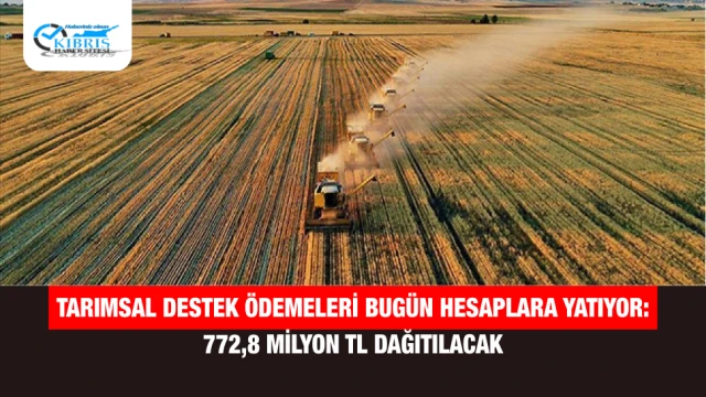 Tarımsal Destek Ödemeleri Bugün Hesaplara Yatıyor: 772,8 Milyon TL Dağıtılacak