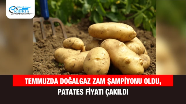 Temmuzda Doğalgaz Zam Şampiyonu Oldu, Patates Fiyatı Çakıldı