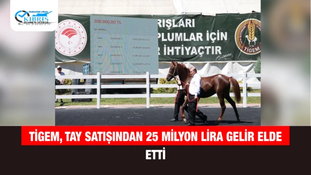 TİGEM, Tay Satışından 25 Milyon Lira Gelir Elde Etti