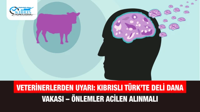 Veterinerlerden Uyarı: Kıbrıslı Türk’te Deli Dana Vakası – Önlemler Acilen Alınmalı