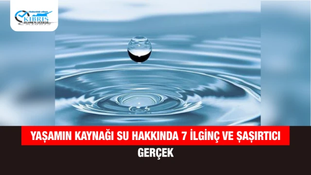 Yaşamın Kaynağı Su Hakkında 7 İlginç ve Şaşırtıcı Gerçek