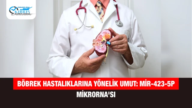 Böbrek Hastalıklarına Yönelik Umut: miR-423-5p MikroRNA'sı