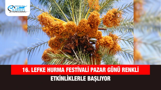Lefke Hurma Festivali Pazar Günü Renkli Etkinliklerle Başlıyor