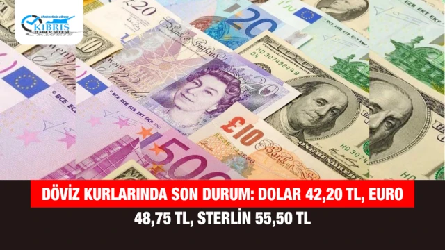 Döviz kurlarında son durum: Dolar 42,20 TL, Euro 48,75 TL, Sterlin 55,50 TL