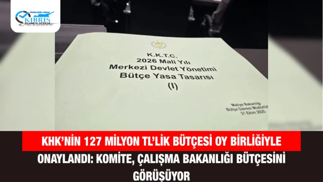 KHK’nin 127 Milyon TL’lik Bütçesi Oy Birliğiyle Onaylandı: Komite, Çalışma Bakanlığı Bütçesini Görüşüyor