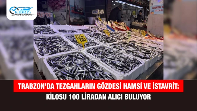 Trabzon’da tezgahların gözdesi hamsi ve istavrit: Kilosu 100 liradan alıcı buluyor