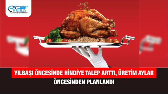 Yılbaşı Öncesinde Hindiye Talep Arttı, Üretim Aylar Öncesinden Planlandı