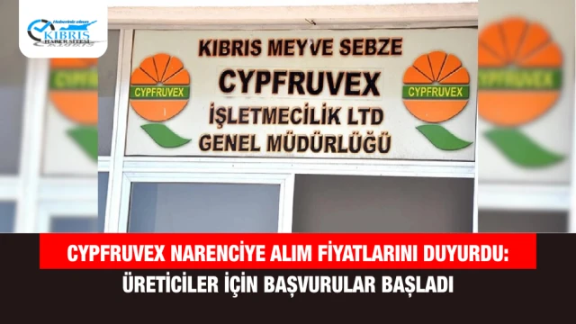Cypfruvex Narenciye Alım Fiyatlarını Duyurdu: Üreticiler İçin Başvurular Başladı