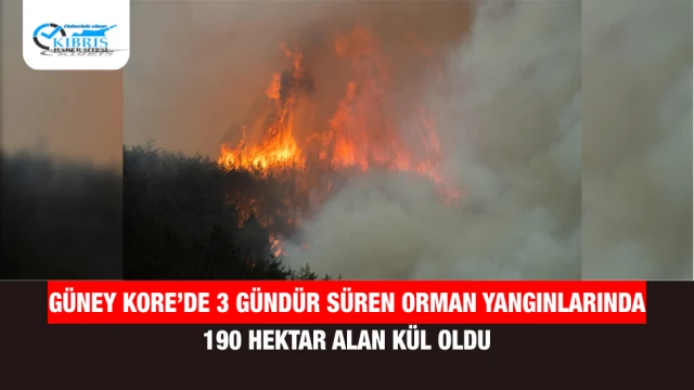 Güney Kore’de 3 Gündür Süren Orman Yangınlarında 190 Hektar Alan Kül Oldu