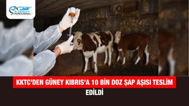 KKTC’den Güney Kıbrıs’a 10 Bin Doz Şap Aşısı Teslim Edildi