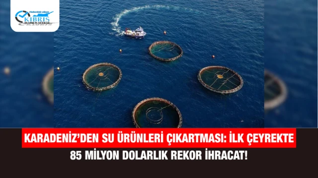Karadeniz’den Su Ürünleri Çıkartması: İlk Çeyrekte 85 Milyon Dolarlık Rekor İhracat!