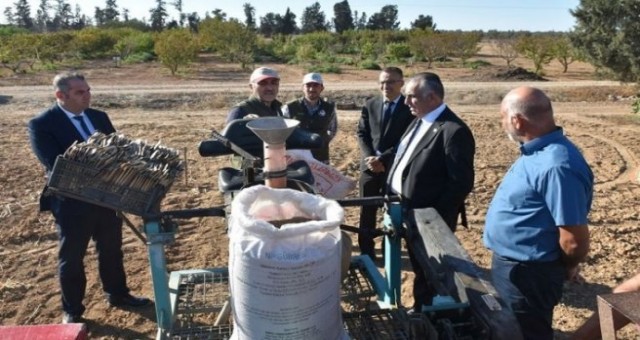 ‘Beşparmak’ arpa çeşidinin tohumunu çoğaltmak için ekimlere başlandı