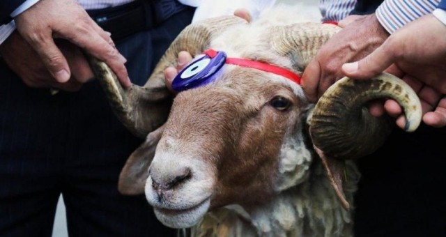 Kurban Bayramı salgın tedbirleri ile kutlanacak