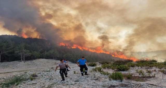 Devletin ilgili birimleri bölgede hummalı bir çalışma yürütüyor