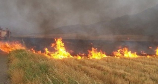 Dağyolu’nda Arazi Yangını