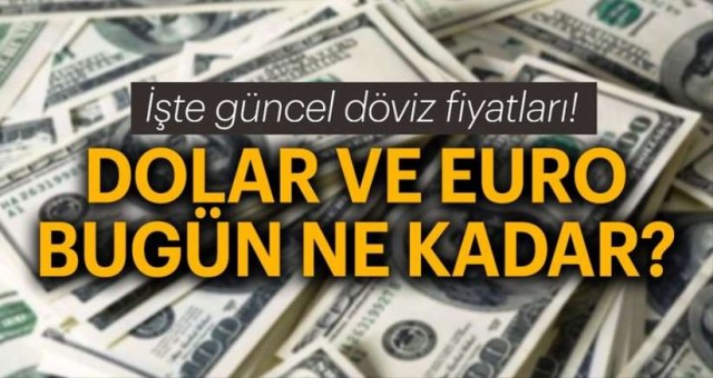 Döviz Kurları (31 Mayıs 2023)