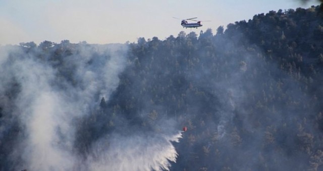 Türkiye’de son 8 günde çıkan 174 yangının 160’ı kontrol alındı, 14’ü devam ediyor