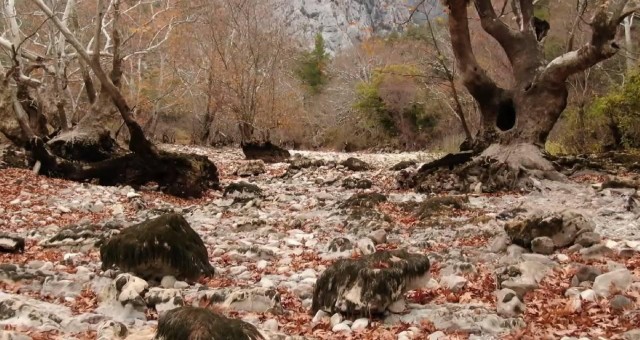 BM: Kuraklık gizli bir küresel kriz