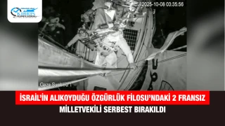 İsrail’in alıkoyduğu Özgürlük Filosu’ndaki 2 Fransız milletvekili serbest bırakıldı