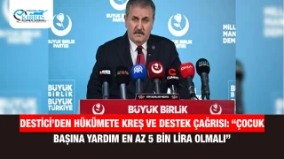 Destici’den Hükümete Kreş ve Destek Çağrısı: “Çocuk Başına Yardım En Az 5 Bin Lira Olmalı”