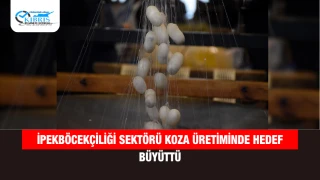 İpekböcekçiliği Sektörü Koza Üretiminde Hedef Büyüttü