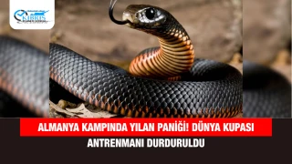 Almanya kampında yılan paniği! Dünya Kupası antrenmanı durduruldu